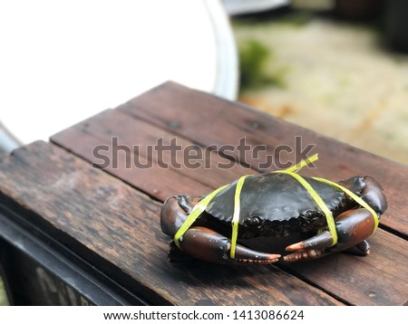 Backgroung of crab with old wooden.