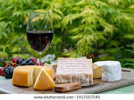 French cheeses collection, yellow Riche de Saveurs, Vieux Pane and Le peche des bons peres cheeses served with glass of red port wine on marble plate outdoor in green garden close up