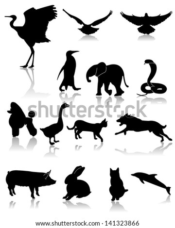 Many animal design,vector
