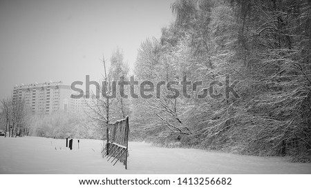 Beautiful photo of a snow covered forest