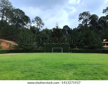 Soccer fiel among the forest on a cabin complex