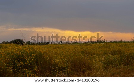 panorama of the field and the sky with the sun rays before a storm