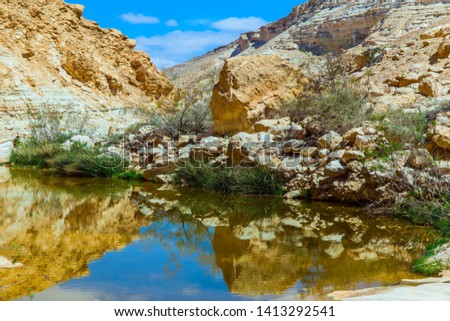 The canyon slopes are reflected in the water. Creek Zin flows through the canyon Ein Avdat in the Negev desert. Spring in Israel. The concept of ecological, photo and active tourism