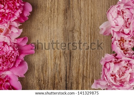 Stunning peonies on wooden background