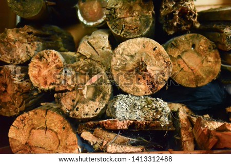Soft focus. Wood texture Abstract background. Closeup of an old timber. Stacked wooden logs abstract background
