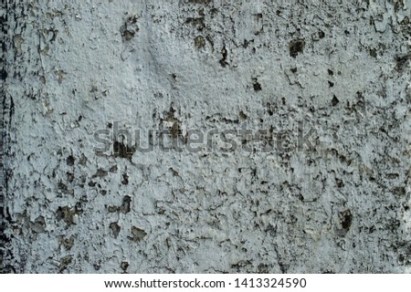 white grunge wall texture shot