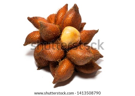 Fruit : Salak isolated on white background. Salak (Salacca zalacca) or Snake fruit is a species of palm tree native to Java and Sumatra in Indonesia. Famous exotic fruits from Thailand