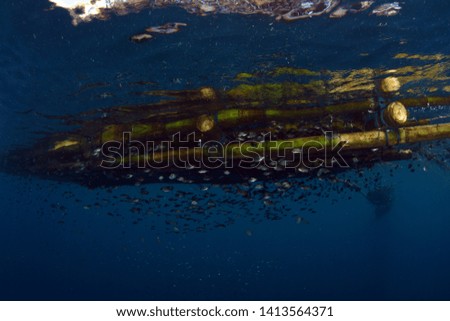 Fishing platform-raft on the ocean surface, the view from under the water. Underwater wide angle photography. Underwater background. Tulamben, Bali, Indonesia. 