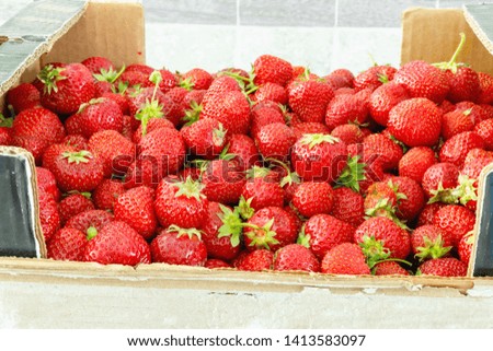 Large box of ripe tasty strawberries. Summer harvest.  Top view flat lay group objects