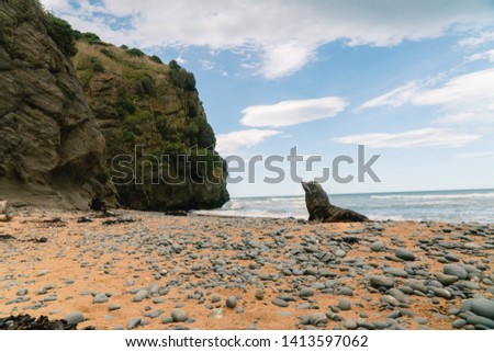 Cute seals walking and sleeping on the beach at Oamaru, South Island, New Zealand. Nature, animals, ocean, travel concepts. Orange, white and blue. Dramatic sky