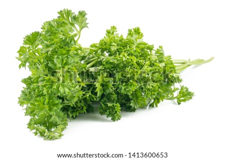 Fresh parsley green leaves (Petroselinum crispum) isolated on white background Royalty-Free Stock Photo #1413600653