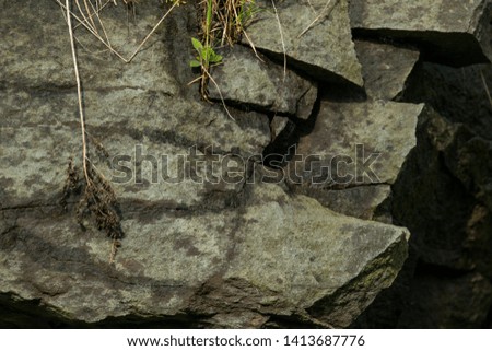 Closeup abstract stone texture background with moss and dirt detail.