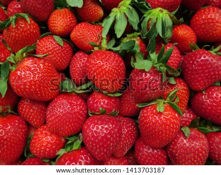 Background of ripe, red strawberries with green ponytails. Berries strawberries close-up