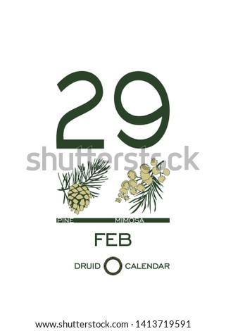 Druid calendar of flowers and trees. Template sheet tear-off calendar. Day after day. February 29 is a pine tree and mimosa flower. Astrological Celtic horoscope. Eco design.