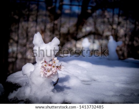 The Freeform Snowman Standing with Sakura Flowers in The Snow