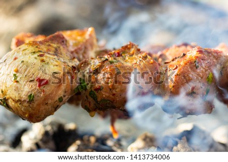 Closeup photo of kebab on fire at forest