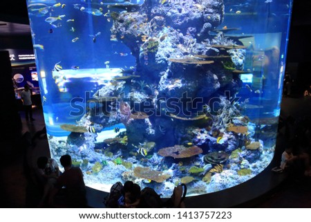 Landscape of animals in the sea of Singapore