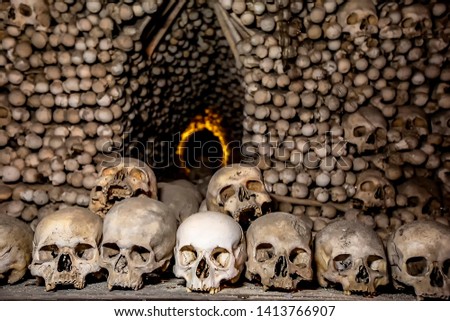 crypt in which a lot of human bones skulls