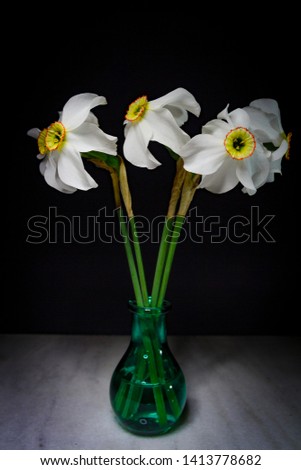 daffodils in a small glass vase