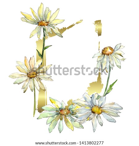 White daisy floral botanical flowers. Wild spring leaf wildflower isolated. Watercolor background illustration set. Watercolour drawing fashion aquarelle isolated. Frame border ornament square.