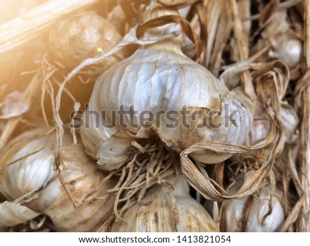 Garlic is aromatic Vitamin healthy food spice image. Royalty-Free Stock Photo #1413821054