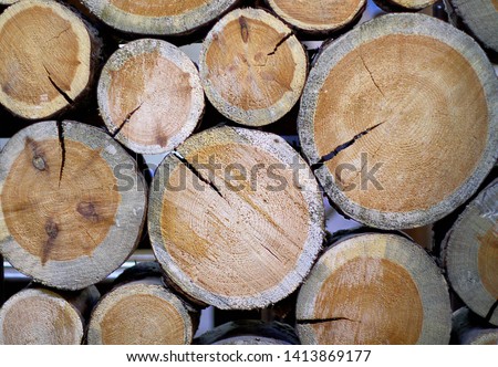 The trunks of the trees are folded like a partition. lumber