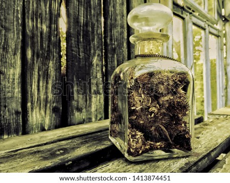 vintage bottle with the seeds of plants against the background of aged wood and the window