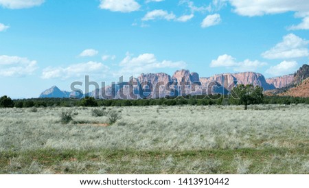 Zion National Park, Utah, big mountains green grass and blue sky 