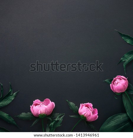 Template made of pink flowers and leaves on black background with space for text. Floral square background. Flat lay, top view. Peonies
