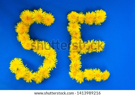 Swedish Flag Day concept. Yellow dandelion letters formed SE. Sveriges nationaldag. National Day of Sweden. Code of Sweden ISO standard. Domain of country in internet. Midsummer.