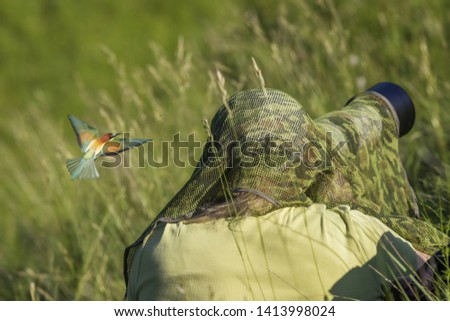 Female photographer with camouflage netting that takes pictures in the wild birds nature and around her head flies a colorful bird Merops apiaster