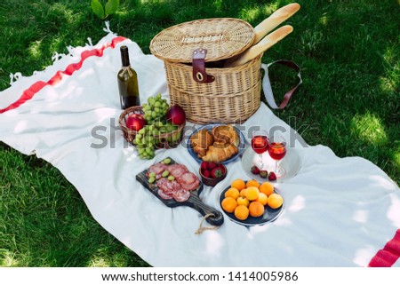 Summer picnic in the park on the green grass