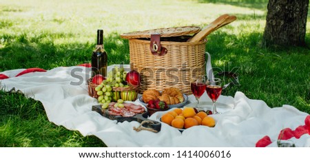 Summer picnic in the park on the green grass