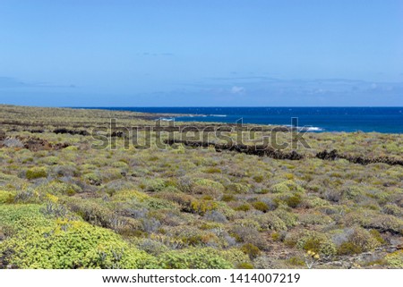 Seascape of beautiful volcanic island Lanzarote, Canari Islands. Travel destination. Sea background. 