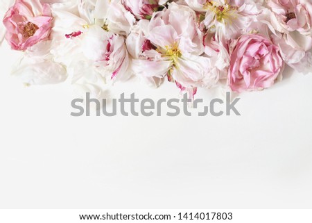 Close up of fading peonies and pink rose flowers petals isolated on white table background. Floral frame composition. Decorative web banner. Styled stock photo. Empty space, flat lay, top view. 