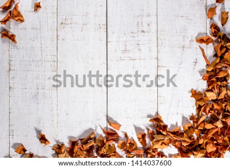 dry leafs ocher  on white wooden background with space for copy, text, lettering

