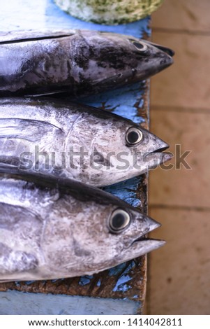 Fish market in Asia. Catching sea and ocean animals in the Indian Ocean. Tuna on shelves for sale. Exotic background