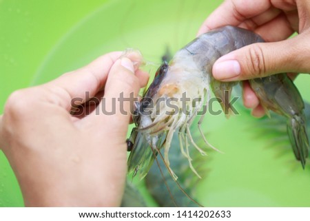 Girl hand cleaning raw shrimp for cooking in bowl. raw food cleaning for healthy eating 