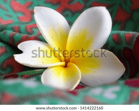 Beautiful sarong and jasmine bloom