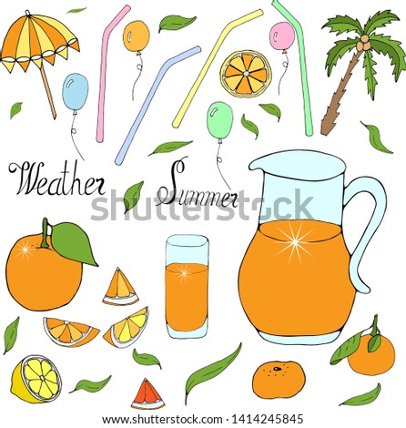Happy celebrate orange freshness draw.
Orange freshness vector illustration  hand draw. Celebrate happy summer vector.  