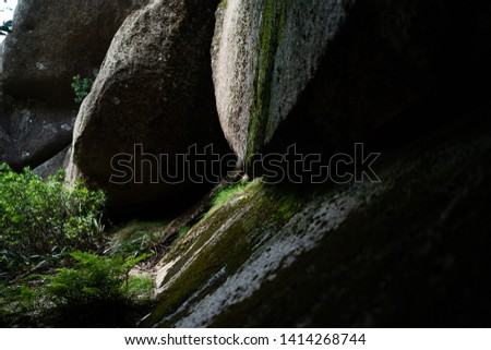 Moss growing on large boulders , Mt Buffalo Australia