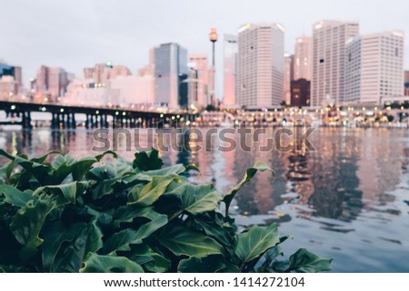 Sydney skyline from darling harbour