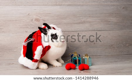 Rabbit wearing a Santa Claus with gifts and red heart on wooden background.White and black in Santa Claus suite with present and red heart shape.Rabbit Christmas offering a red gift and heart.