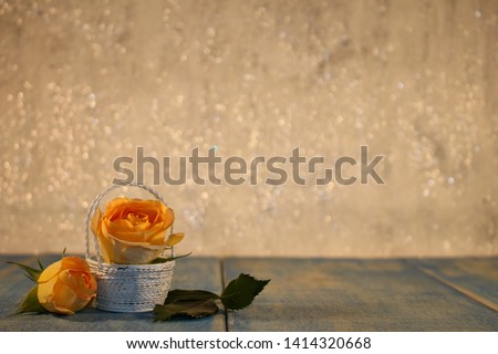  beautiful yellow roses with buds and green leaves lie on blue wooden boards on a shiny background