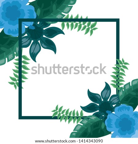 tropical flower leaves foliage frame decoration vector illustration