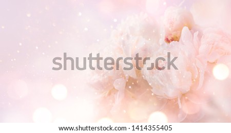 Beautiful pink peony bouquet art background. Blooming pastel peony or roses border flowers card design. Wedding backdrop, Valentine's Day concept. Birthday bouquet, bunch. Blossom, flower closeup