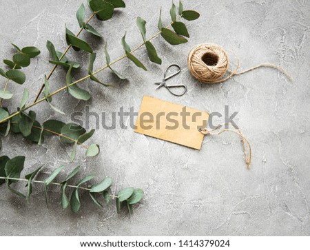 Eucalyptus branches and leaves on a grey concrete background