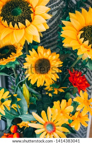 Bouquet of sunflowers in bloom within home hallway against striped print wallpaper from cottage garden.