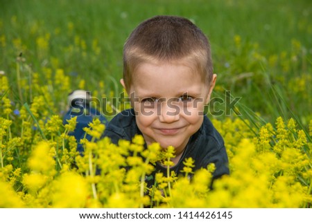 Cute little boy lying in the grass and flowers and laughing