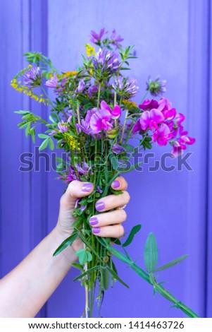 Woman holding beautiful flower bouquet on a purple background. Different types of little wild flowers. Blooming and spring concept. 